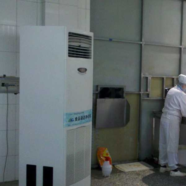 鄂州食品正负离子空气杀菌器